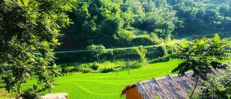 Façade de lâhĂ©bergement