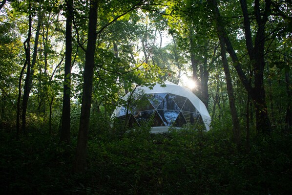 View of the dome front from bottom of the forest mid morning.