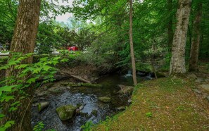 Peaceful creek view surrounded by lush greenery at Scenic Creek cabin.