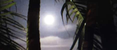 Full Moon looking out from the Lanai. Taken in January.