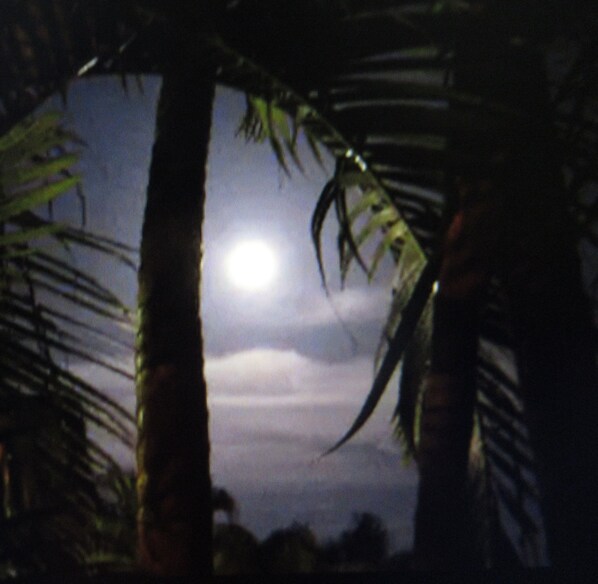 Full Moon looking out from the Lanai. Taken in January.