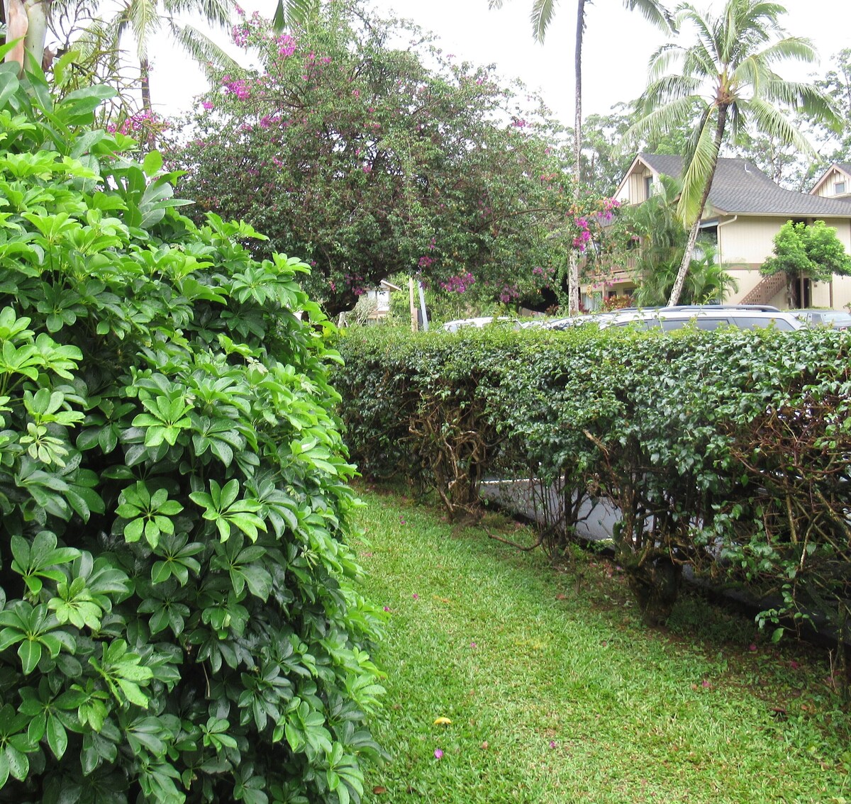 Princeville, Kauai. Delightful Studio In Sandpiper Village. Ten night maximum