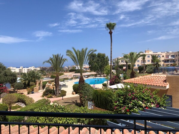 Amazing pool views