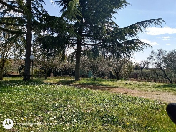 Property grounds