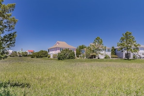 Surrounded by the marsh, our location is also an excellent spot to do some bird watching while on Harbor Island.
