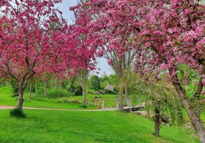 Boendeområde