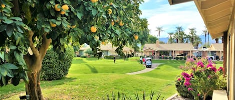 Jardines del alojamiento