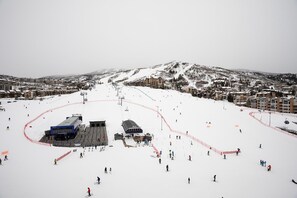 Sneeuw- en skisporten