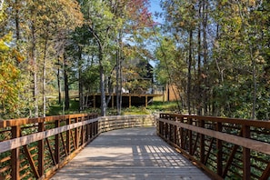 Cabin 11 and TART Trail