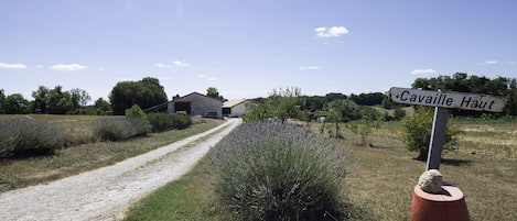 Terrain de l’hébergement 