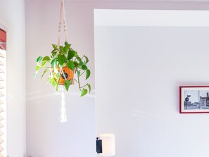 ・The casually decorated green accents the room
