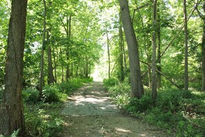 walking trail