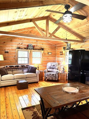 sofa sleeper & recliner
