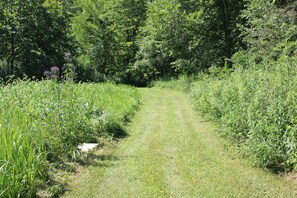 walking trail