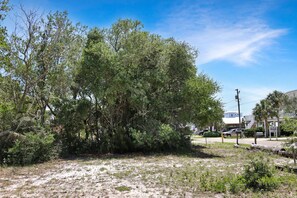 Shaded for Privacy by Natural Vegetation