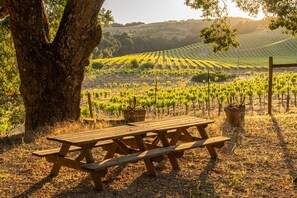 Front yard - Dunning Ranch Guest Deluxe - Take your vacation to the next level and plan an outdoor picnic!