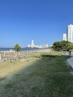 Strand