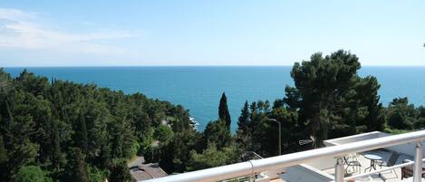 You can oversee the wonderful Adriatic sea from your terrace…