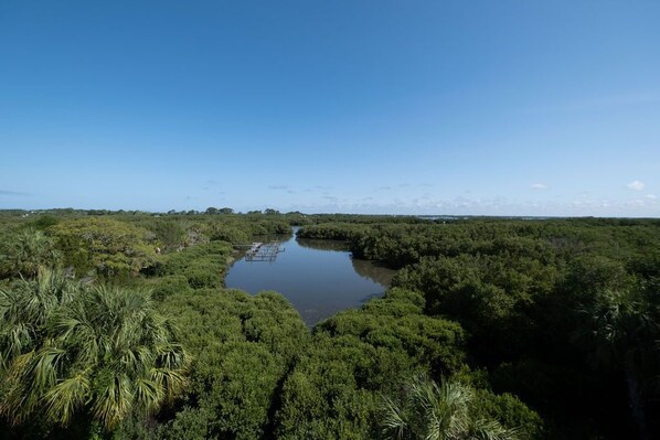 Incredible nature and water views from your private balcony!