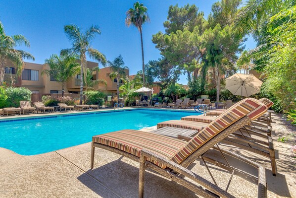 Relax by the sparkling pool and palm trees