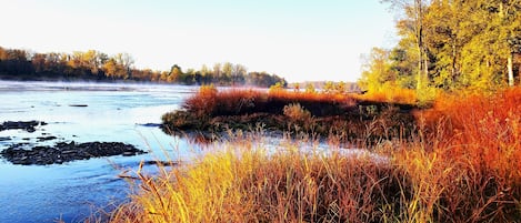 Overnatningsstedets område