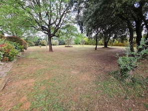 Le jardin arboré et clôturé. 