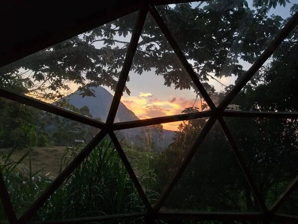 View from property