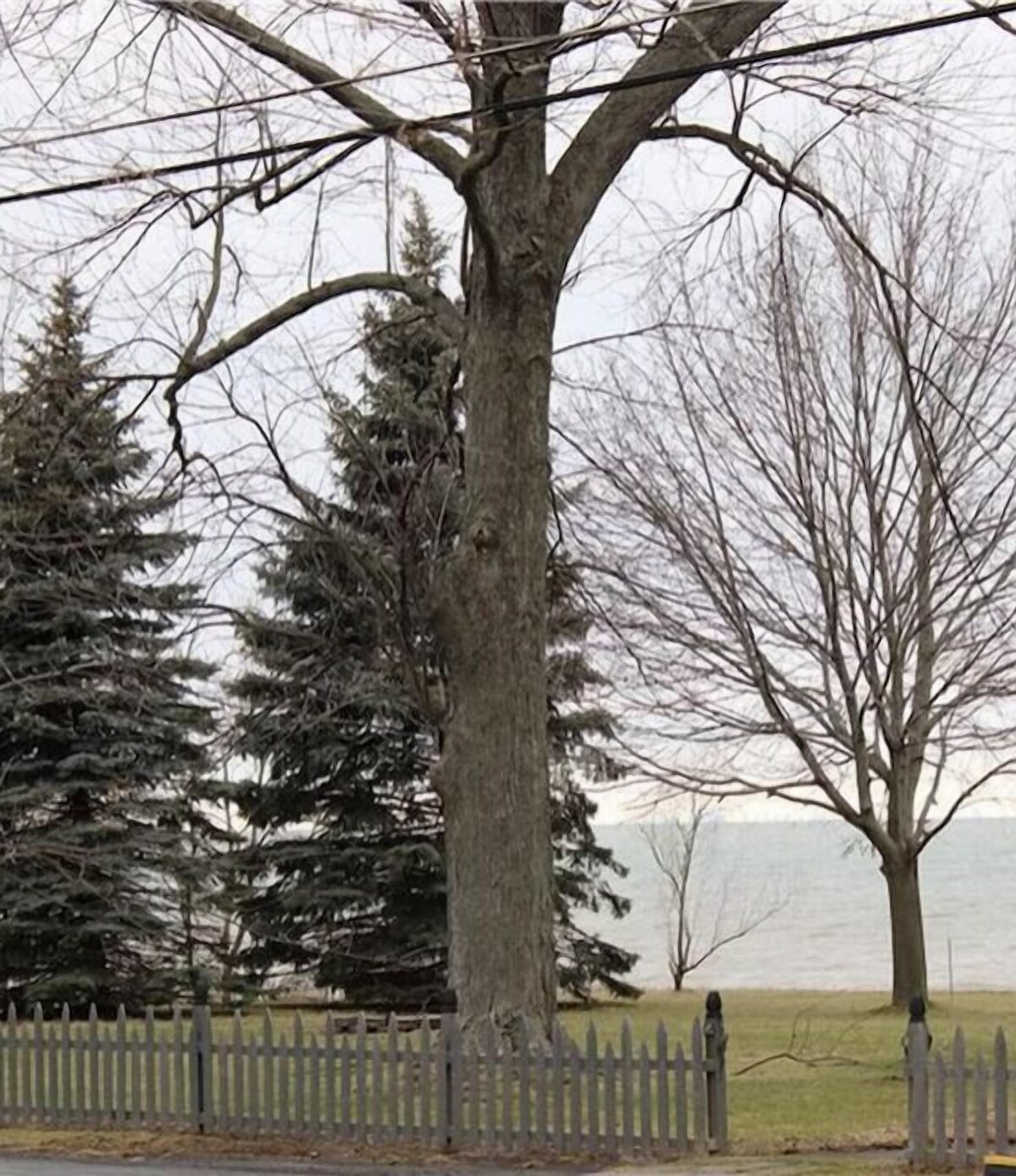 Lakeview Ontario Cottage