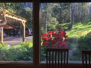 View to forest hill and garden from dining room. 