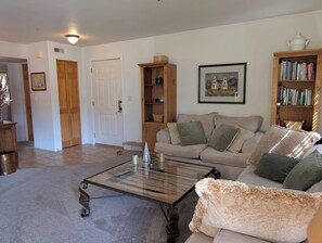 Large Living Room Area