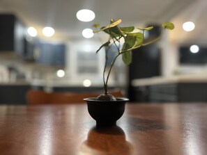 Detalj interiör