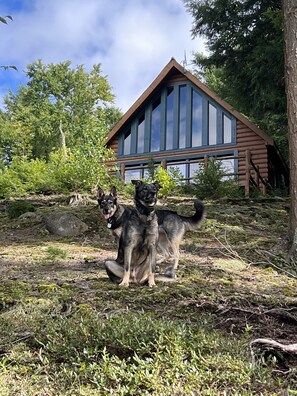Boendeområde