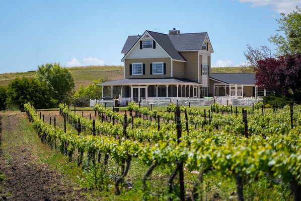 You'll be close to Paso Robles wine any day you visit