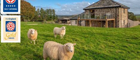 The Old Barn is surrounded by fields in a tranquil location