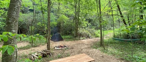 Picnic table, fire ring and room for 2-3 tents