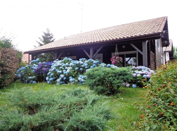Photo 0