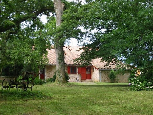 Exteriör