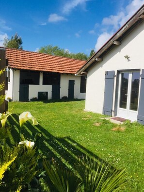 Exteriör