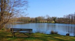 Etang de la glacière, tout proche