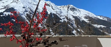 Terrasse vue panoramique
