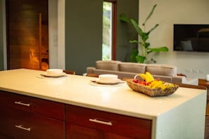 Open Concept Kitchen and Living