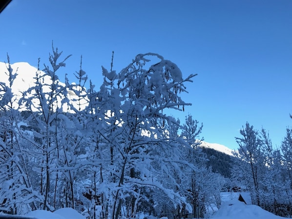 Deportes de invierno