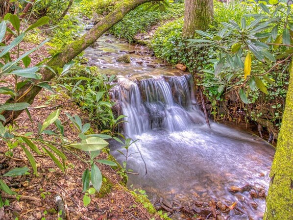 Terrenos do alojamento