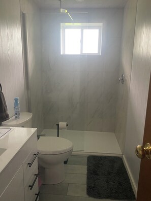 Rainfall shower head, comfort height toilet