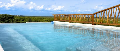 pool - Gorgeous, shared, infinity pool on the roof.  Looking toward the lush mangrove forest.