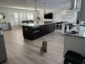 Indoors, Floor, Flooring, Hardwood, Kitchen