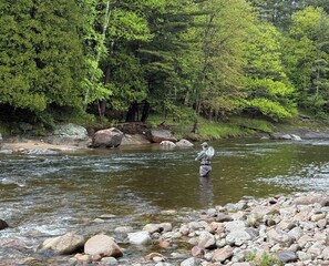 Fish and swim at in the adjacent river! Photo by @avaandameliadoodles