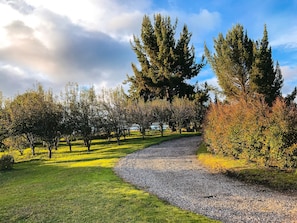 Terrenos do alojamento