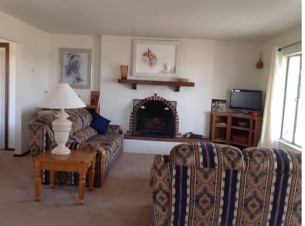 comfortable Living  Room with fireplace  roku TV & Movies