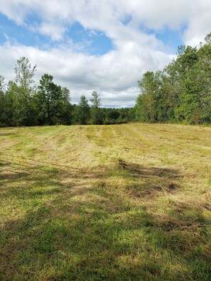 Terrain de l’hébergement 